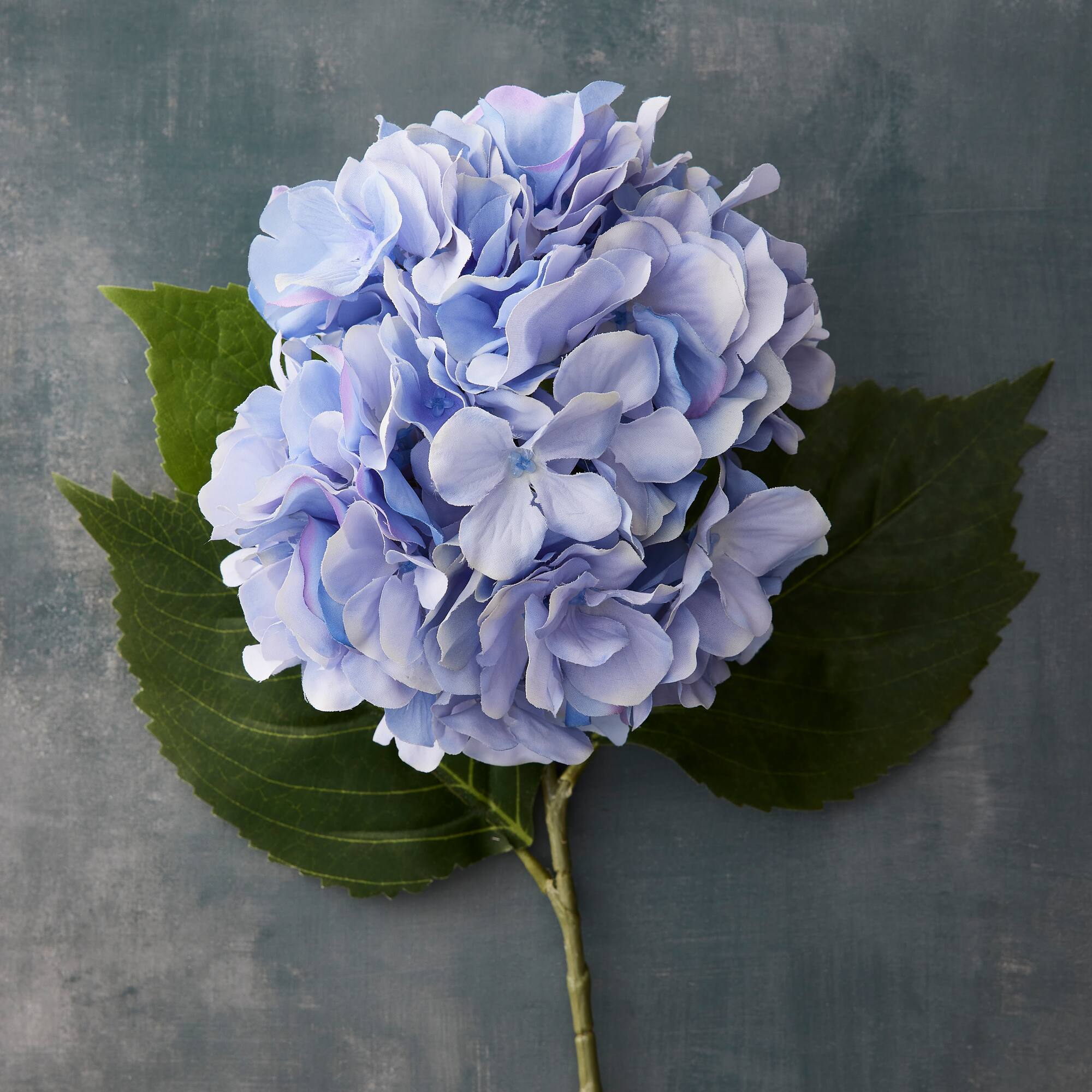 Garden Blooms Hydrangea Stem by Ashland